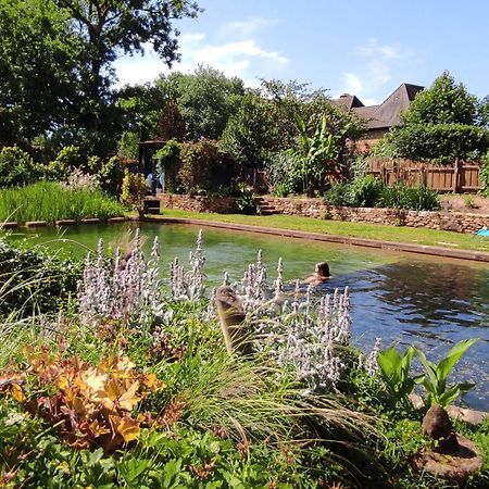 Maison De Charme, Piscine Naturelle Dordogne Perigord Prats-du-Perigord Luaran gambar