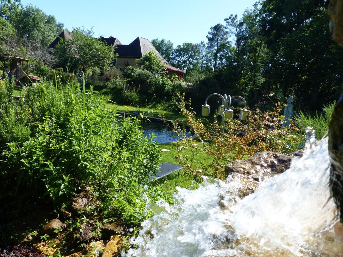 Maison De Charme, Piscine Naturelle Dordogne Perigord Prats-du-Perigord Luaran gambar