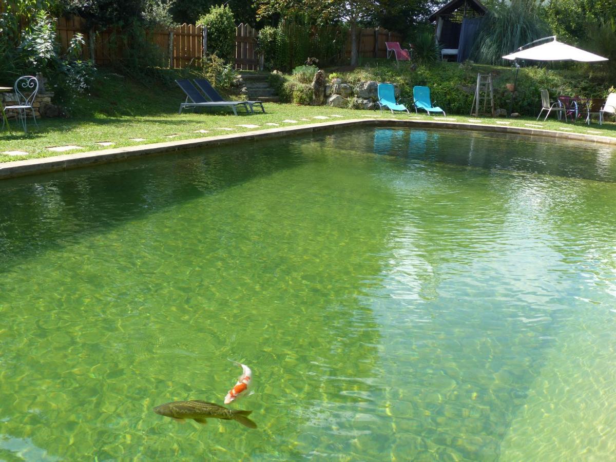 Maison De Charme, Piscine Naturelle Dordogne Perigord Prats-du-Perigord Luaran gambar