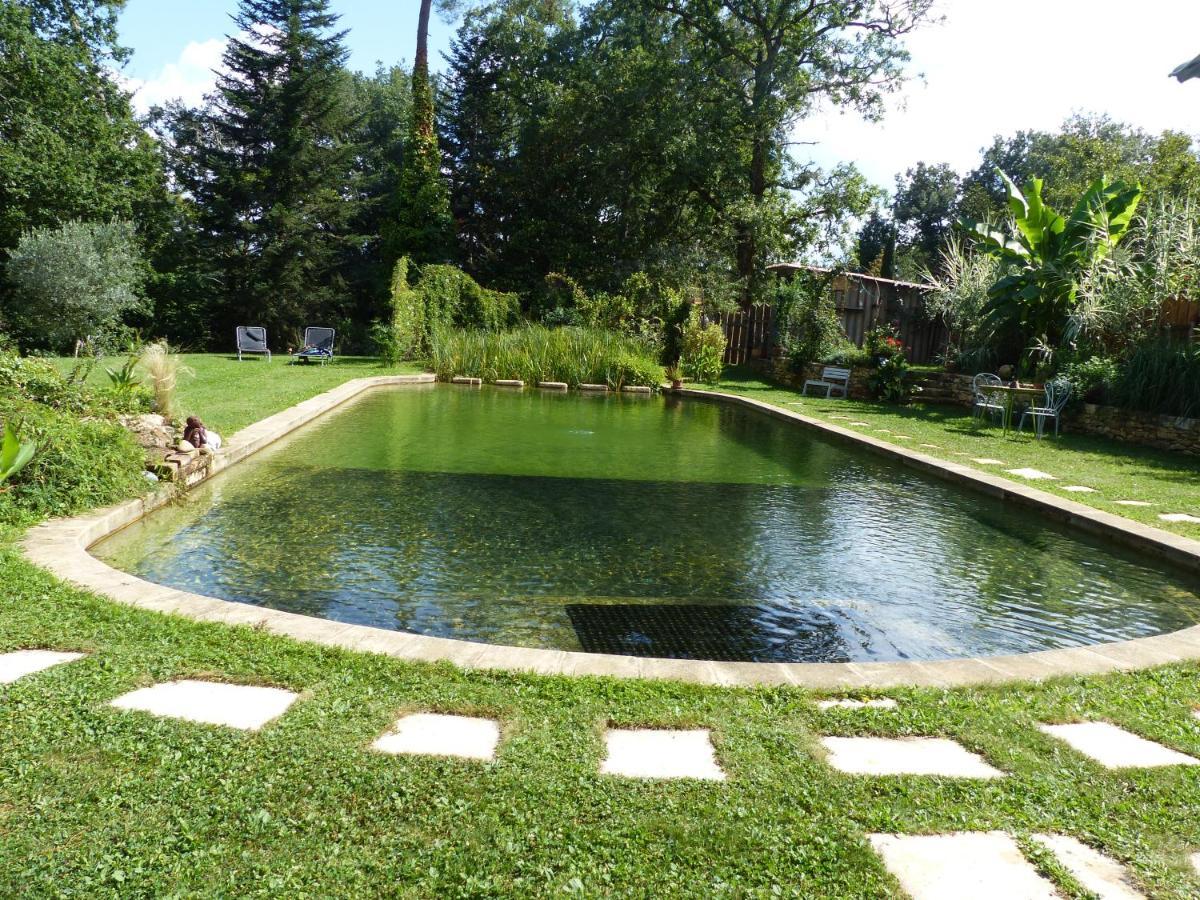 Maison De Charme, Piscine Naturelle Dordogne Perigord Prats-du-Perigord Luaran gambar