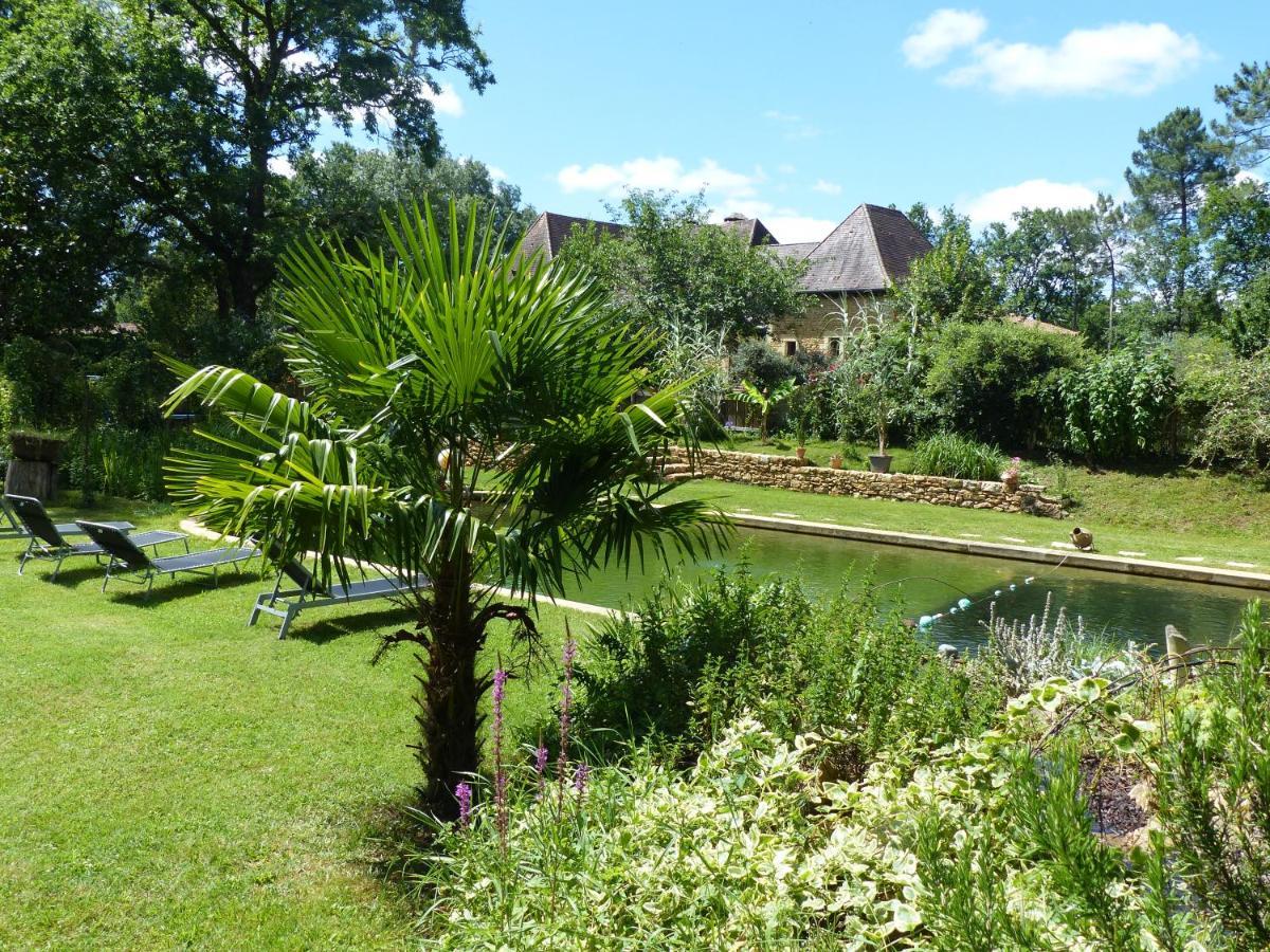 Maison De Charme, Piscine Naturelle Dordogne Perigord Prats-du-Perigord Luaran gambar