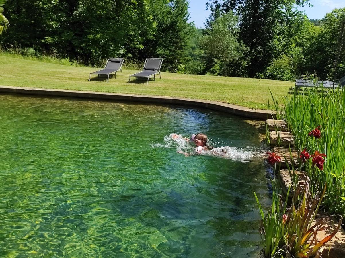 Maison De Charme, Piscine Naturelle Dordogne Perigord Prats-du-Perigord Luaran gambar
