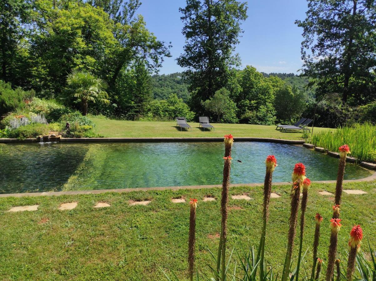 Maison De Charme, Piscine Naturelle Dordogne Perigord Prats-du-Perigord Luaran gambar